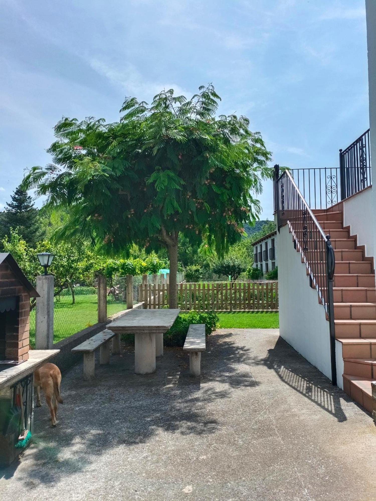 Apartamento Rural Casa Paco Con Jacuzzi Exterior Y Barbacoa Ainsa Exterior photo